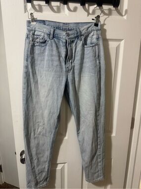 American Eagle Outfitters Light Blue Straight Leg Jeans